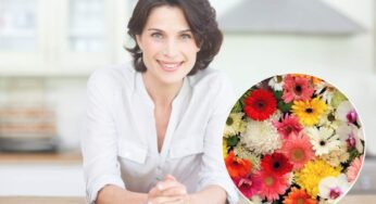 Chissà quante volte hai avuto questo comunissimo fiore in casa senza saperlo: da oggi, lo metterai ovunque