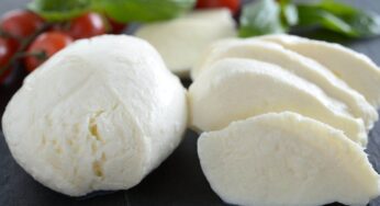 Se non le avessi preparate non ci avrei creduto: ho fatto le mozzarelle vegane in casa e sono venute uno spettacolo