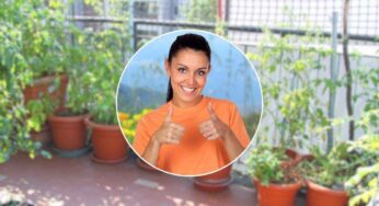 Allontana le zanzare e arricchisce il terrazzo, questa pianta è una salvezza in estate: ma devi coltivarla subito