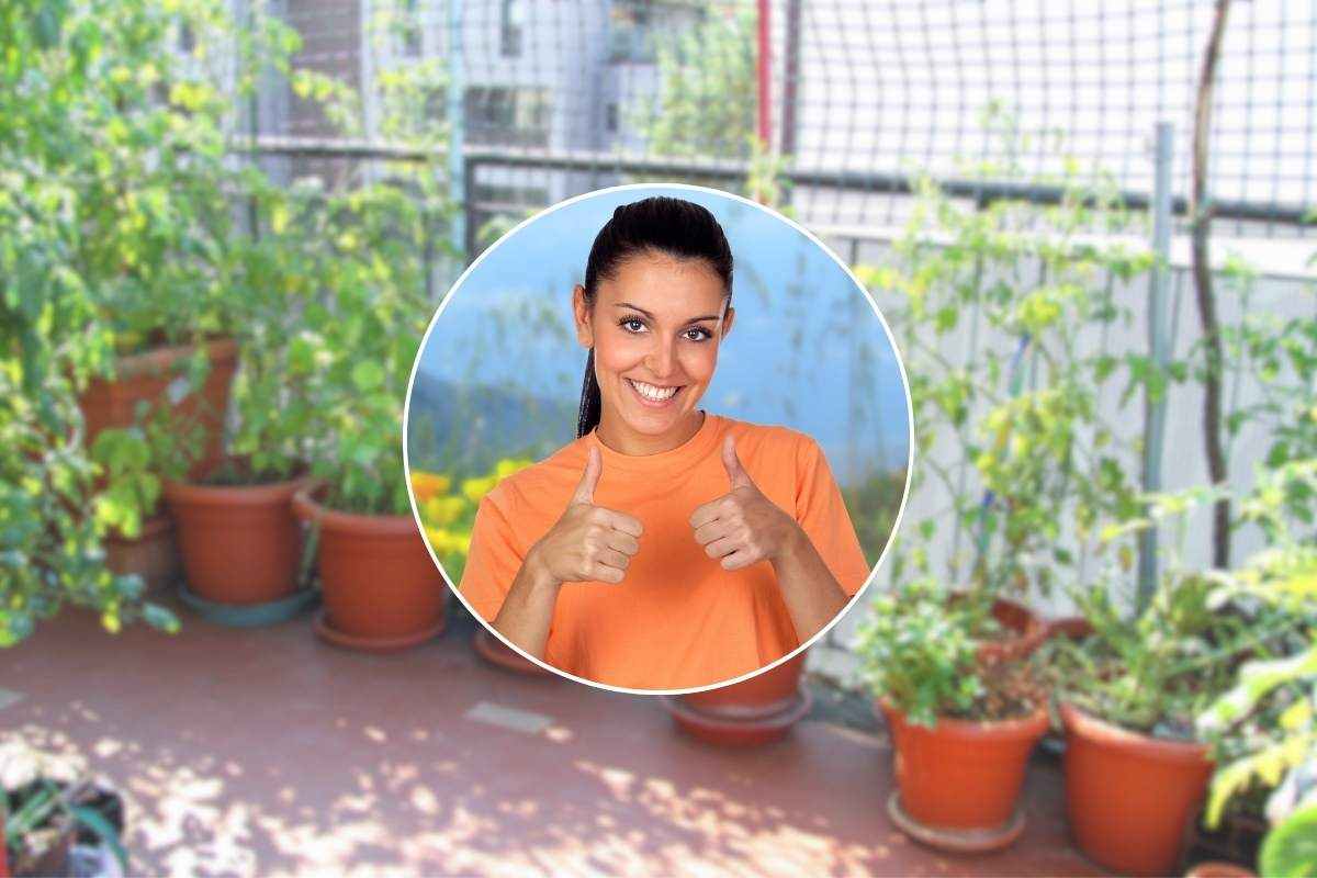 piante sul terrazzo e ragazza nel riquadro